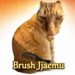 Brush Jjaemu