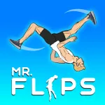Mr Flip